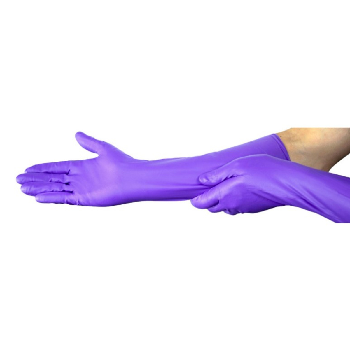 purple nitrile gloves halyard